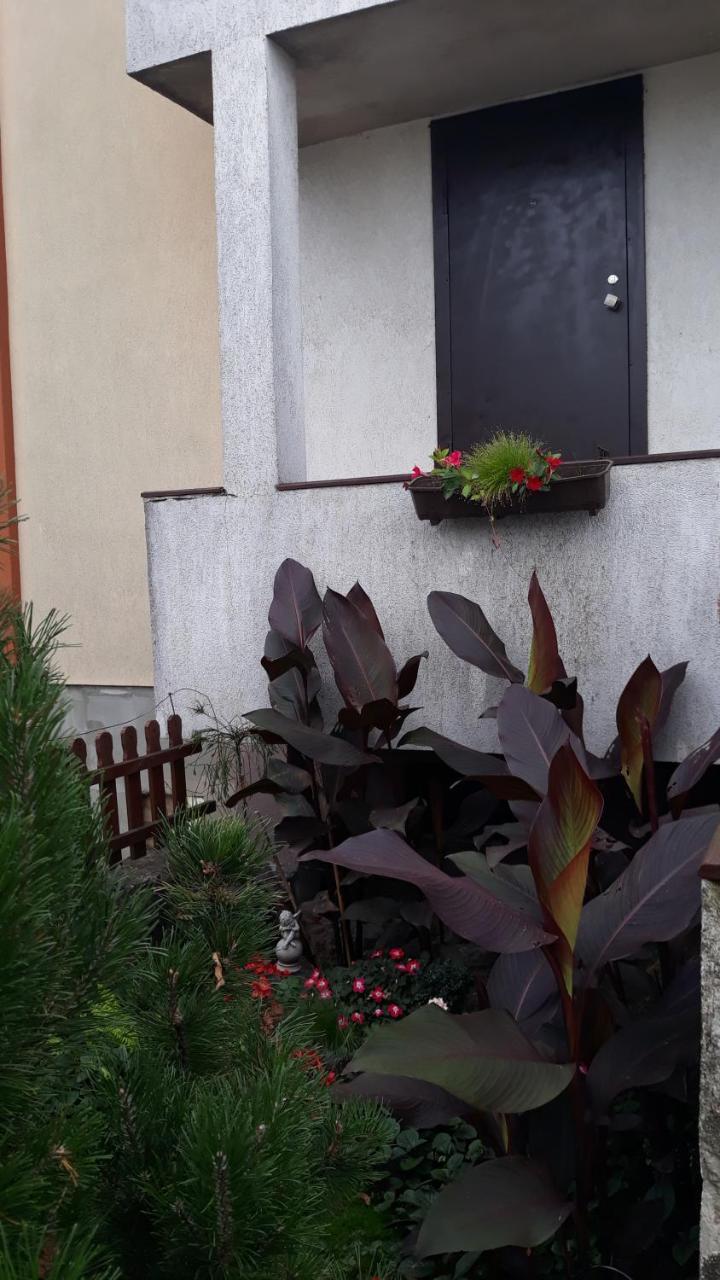 Sauliaus Apartamentai Panevėžys Екстериор снимка